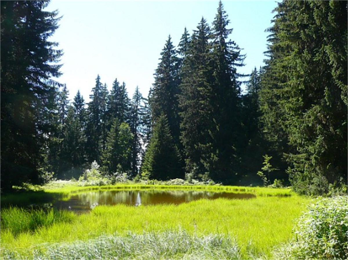 Capture d'écran 2025-08-04 095520