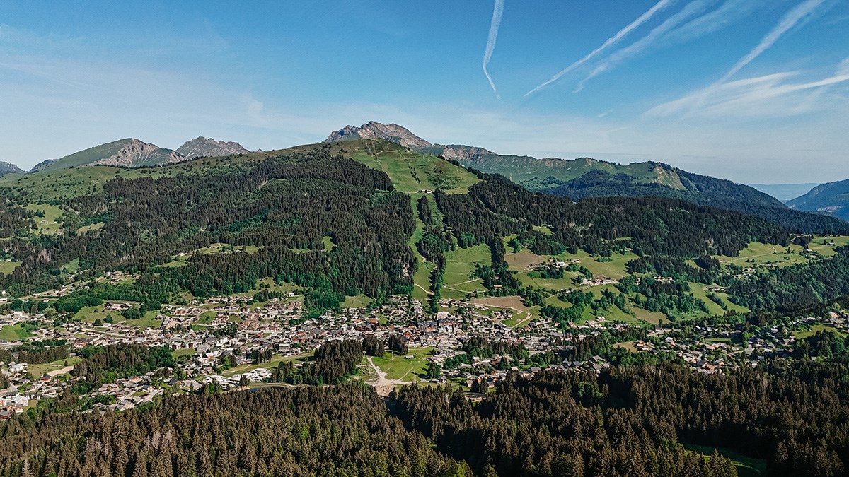 2026_06_08_paysage_plateau_des_chavannes_cp_marie_tardy_BD