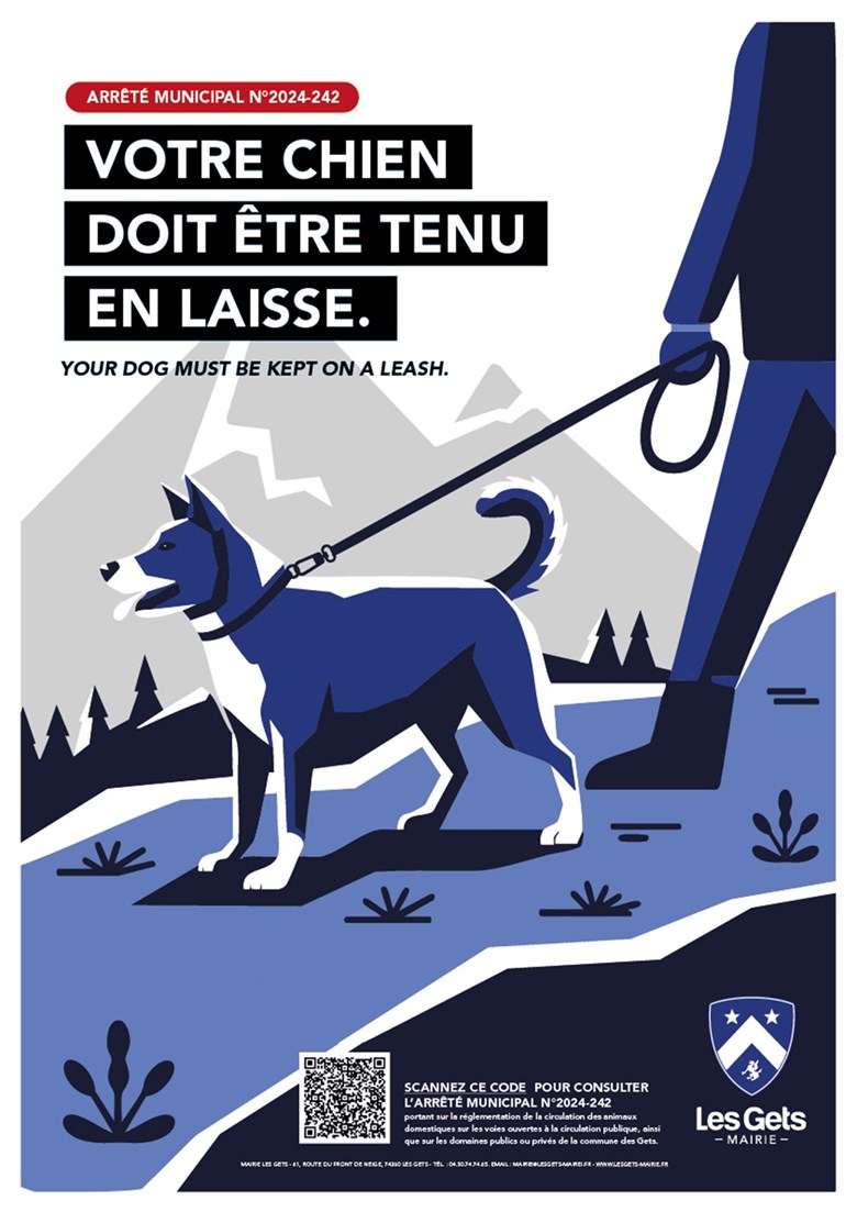 chien en laisse