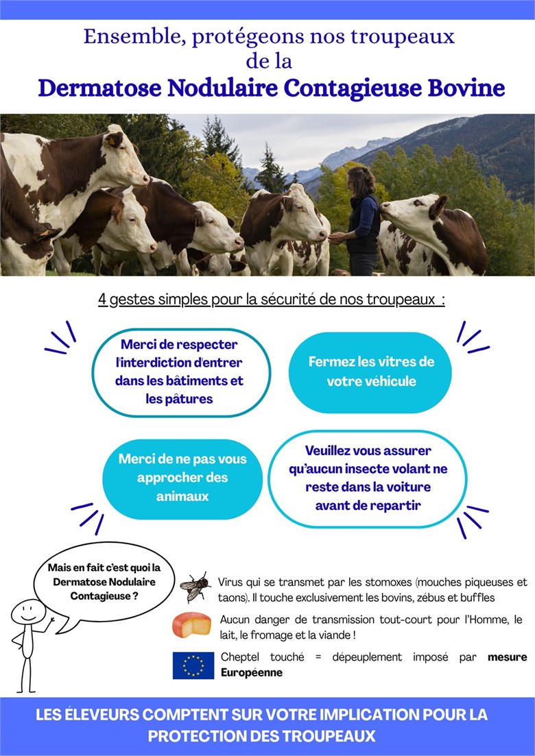 DERMATOSE NODULAIRE CONTAGIEUSE