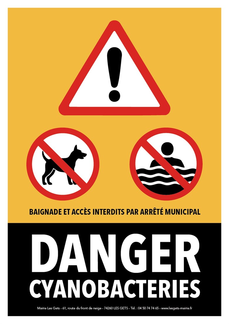 danger Cyanobacteries