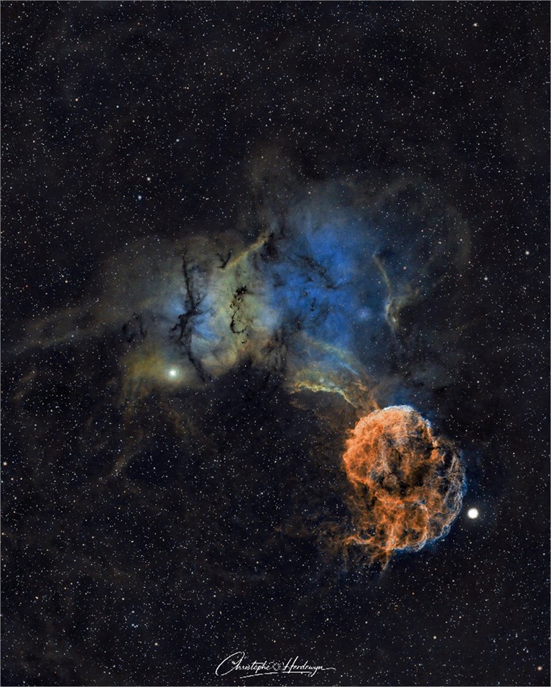 La méduse TIF-S_1200px