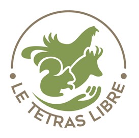cropped-Logo-TL-blanc-simple-transp-1