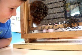 IMG_1505