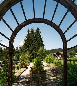 jardinJMD