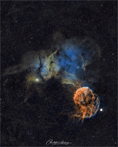 La méduse TIF-S_1200px