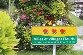 3FLEURS