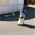 image11